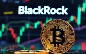 قانونمند کردن کریپتو تو واشنگتن به بنبست خورده-بلکراک داره با تمام توان از تکنولوژی غیرمتمرکز استفاده میکنه قانونمند کردن کریپتو تو واشنگتن به بنبست خورده-بلکراک داره با تمام توان از تکنولوژی غیرمتمرکز استفاده میکنه